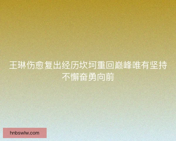 王琳伤愈复出经历坎坷重回巅峰唯有坚持不懈奋勇向前
